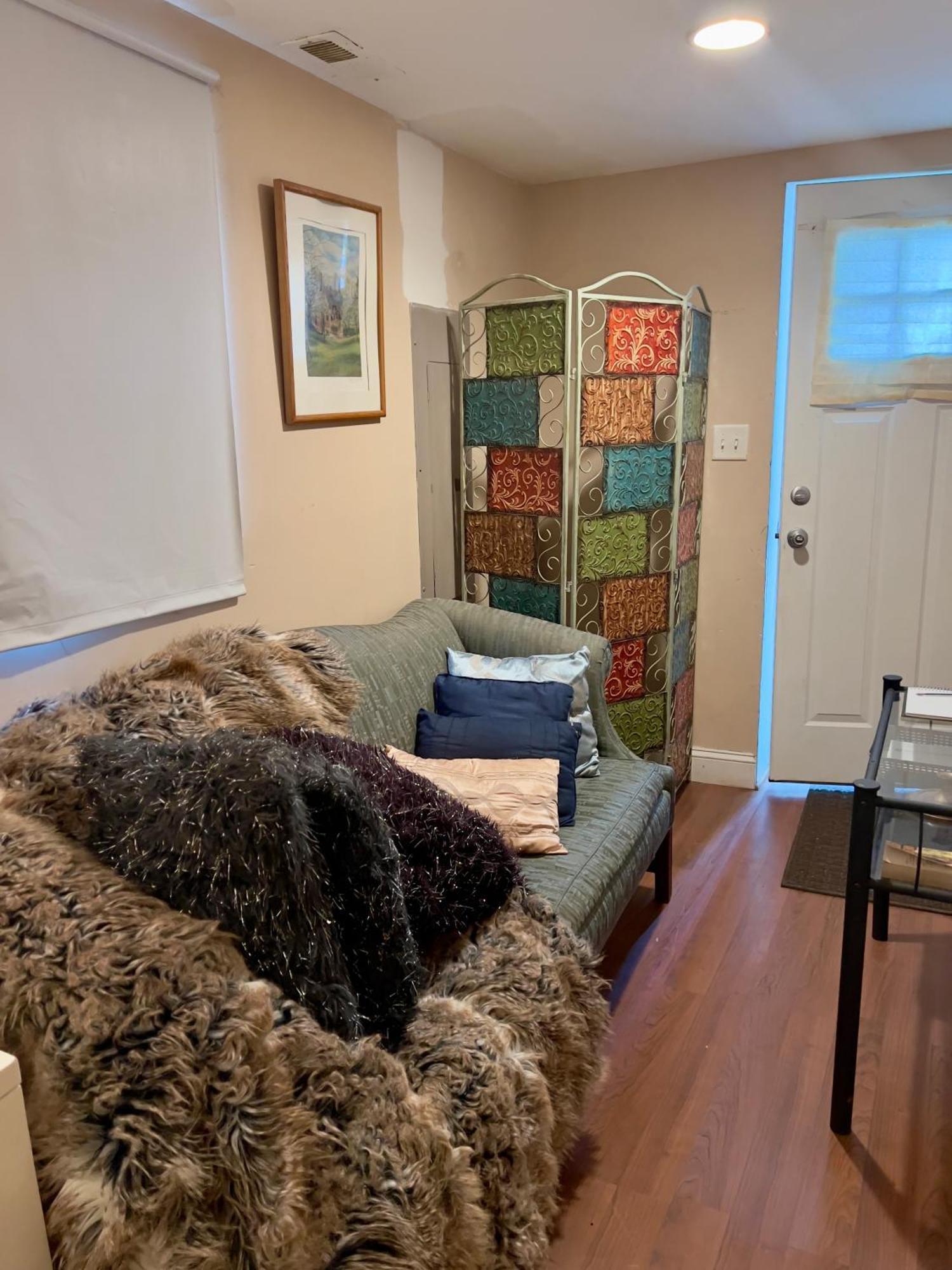 Charming 1-Bedroom Basement Close To Dc Pets Allowed Arlington Exteriör bild